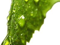 Efterlysning: Ni med&nbsp;avloppsproblem